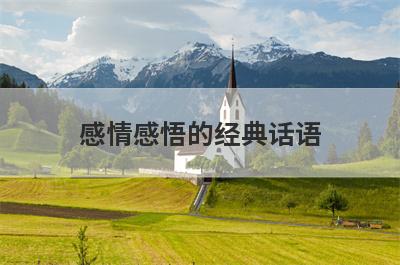 感情感悟的经典话语