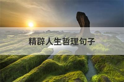 精辟人生哲理句子
