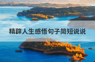精辟人生感悟句子简短说说