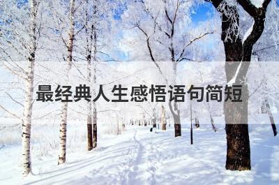 最经典人生感悟语句简短