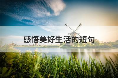 感悟美好生活的短句