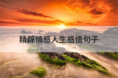 精辟情感人生感悟句子