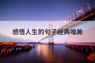 感悟人生的句子经典唯美