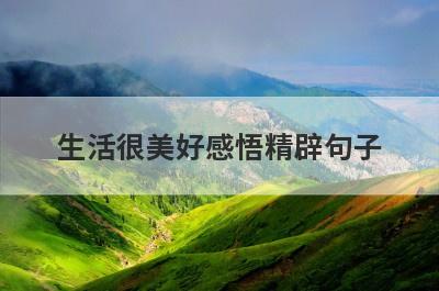 生活很美好感悟精辟句子