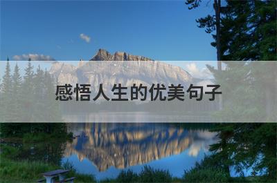 感悟人生的优美句子