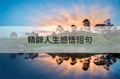 精辟人生感悟短句
