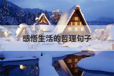 感悟生活的哲理句子