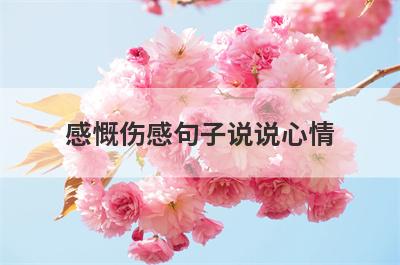 感慨伤感句子说说心情