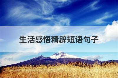 生活感悟精辟短语句子