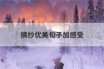 摘抄优美句子加感受