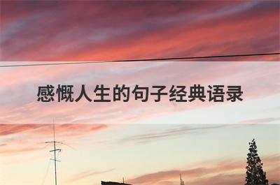 感慨人生的句子经典语录