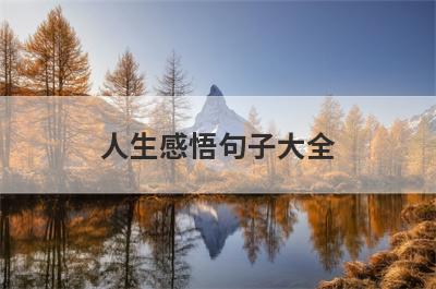 人生感悟句子大全