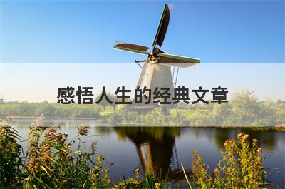 感悟人生的经典文章
