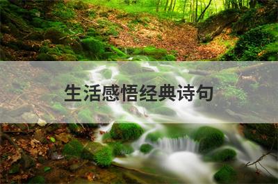 生活感悟经典诗句