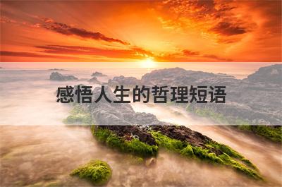 感悟人生的哲理短语