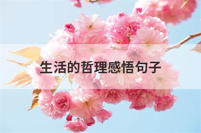 生活的哲理感悟句子