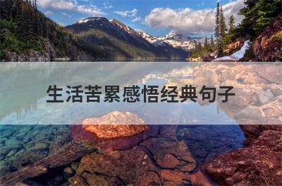 生活苦累感悟经典句子