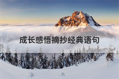 成长感悟摘抄经典语句