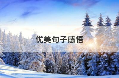 优美句子感悟