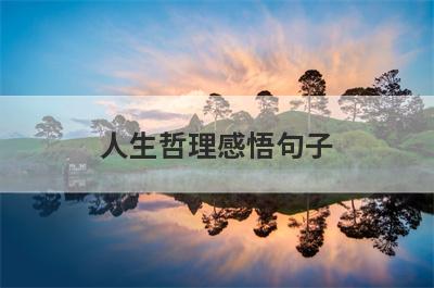 人生哲理感悟句子