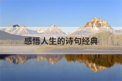 感悟人生的诗句经典