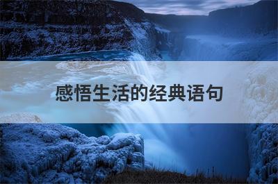 感悟生活的经典语句