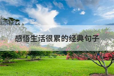 感悟生活很累的经典句子