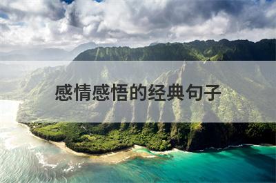感情感悟的经典句子