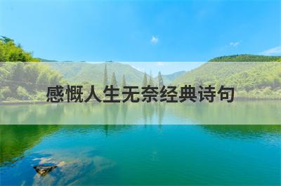 感慨人生无奈经典诗句