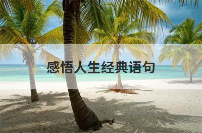 感悟人生经典语句