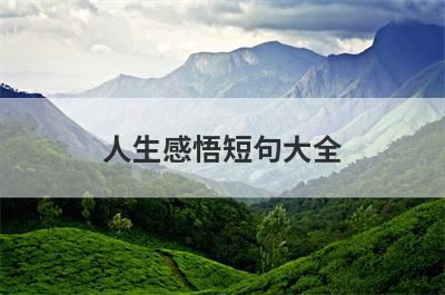 人生感悟短句大全