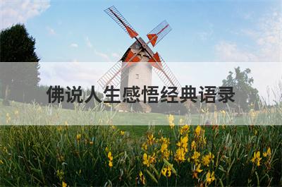 佛说人生感悟经典语录