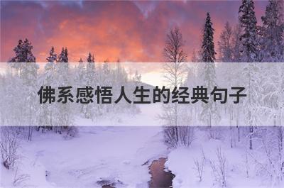 佛系感悟人生的经典句子