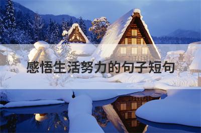 感悟生活努力的句子短句