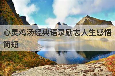 心灵鸡汤经典语录励志人生感悟
简短
