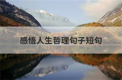 感悟人生哲理句子短句