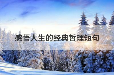 感悟人生的经典哲理短句