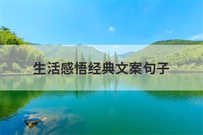 生活感悟经典文案句子