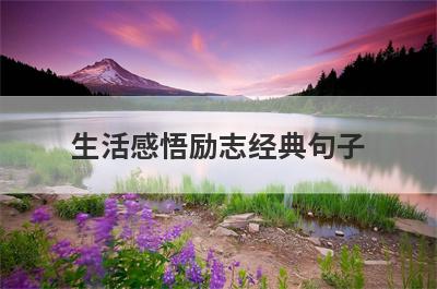 生活感悟励志经典句子