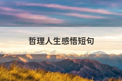 哲理人生感悟短句