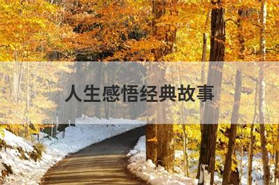 人生感悟经典故事