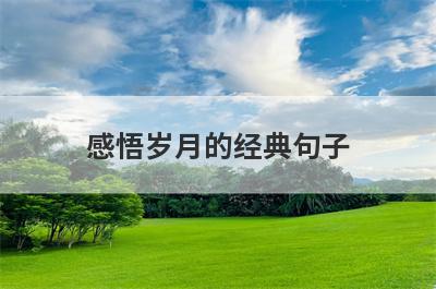 感悟岁月的经典句子