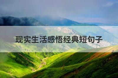 现实生活感悟经典短句子