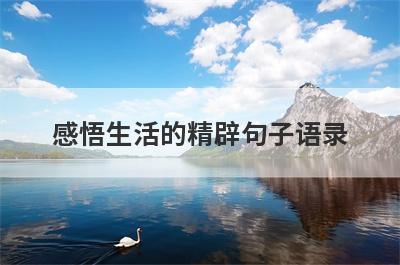 感悟生活的精辟句子语录