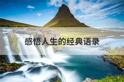 感悟人生的经典语录