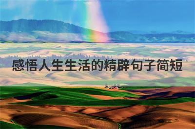 感悟人生生活的精辟句子简短