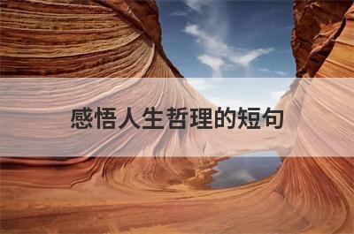 感悟人生哲理的短句