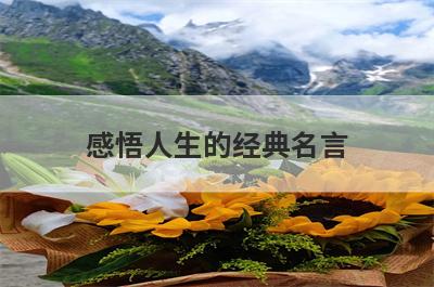 感悟人生的经典名言