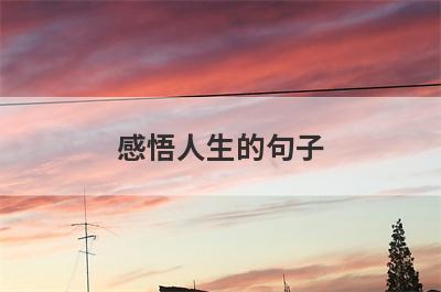 感悟人生的句子