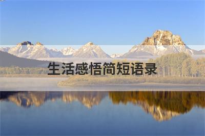 生活感悟简短语录